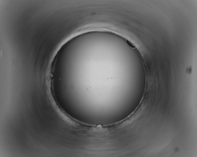 X0000103441526200809121351