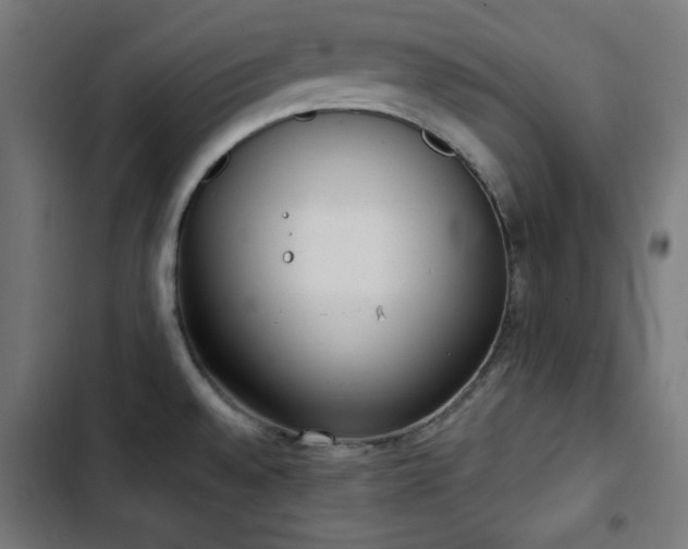 X0000103441528200809121351