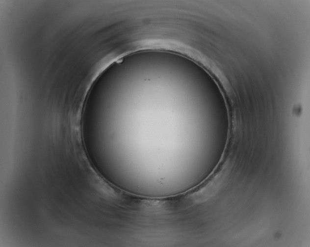 X0000103441529200809121351
