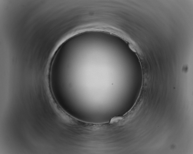 X0000103441530200809121351