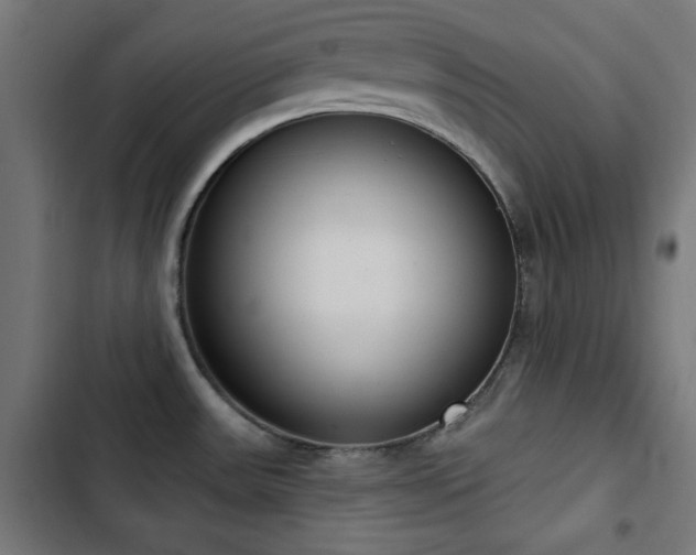 X0000103441531200809121351