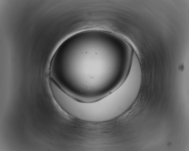 X0000103441532200809121351