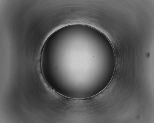 X0000103441534200809121351