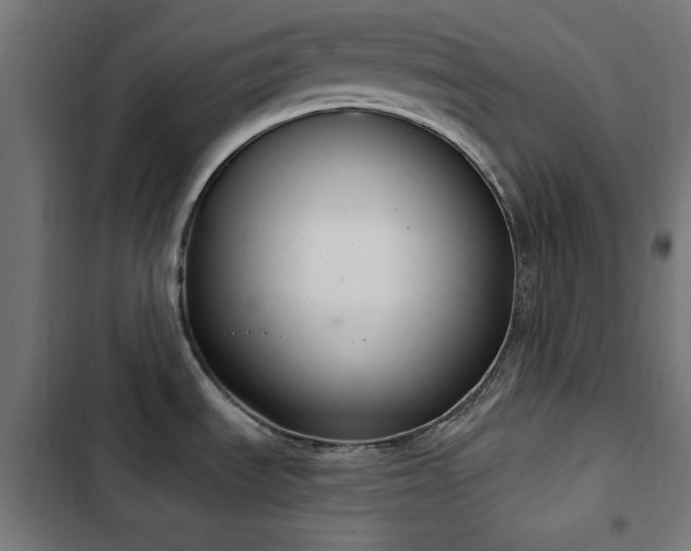 X0000103441535200809121351