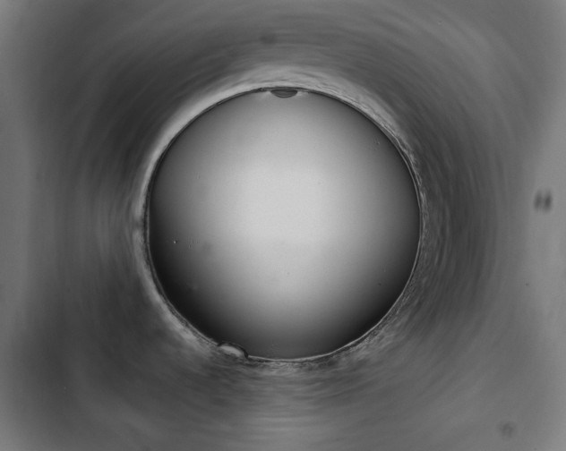 X0000103441536200809121351