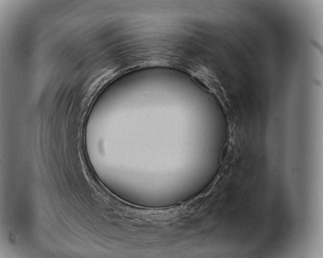 X0000103440001200809191735