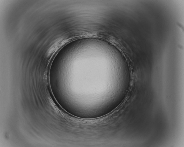 X0000103440002200809191735