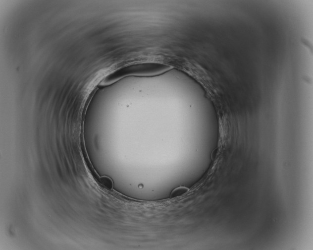 X0000103440003200809191735