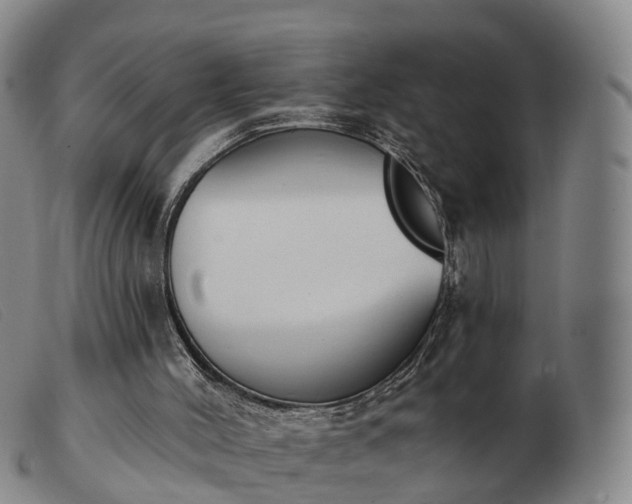 X0000103440004200809191735