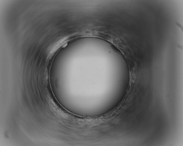 X0000103440005200809191735