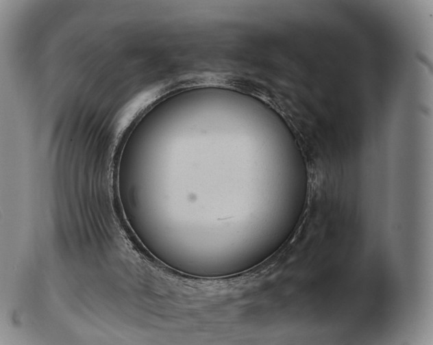 X0000103440006200809191735