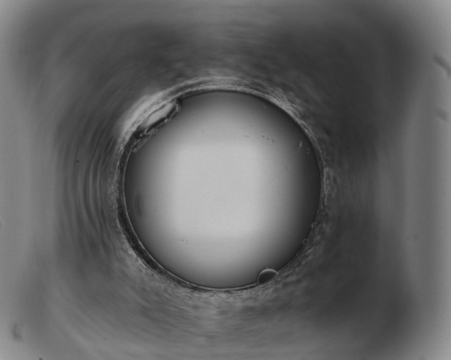 X0000103440007200809191735