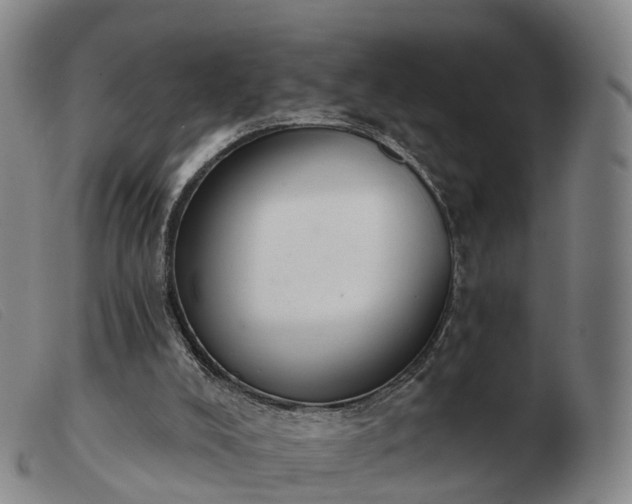 X0000103440008200809191735