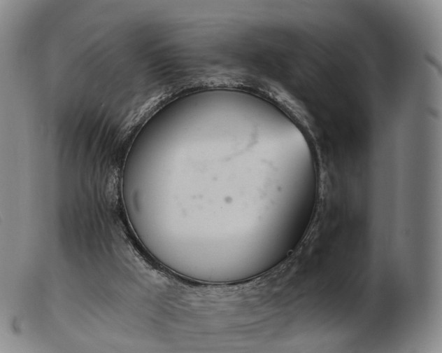 X0000103440009200809191735