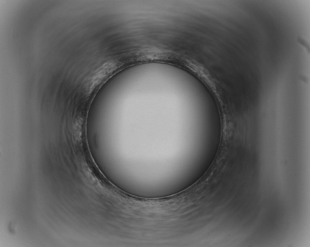 X0000103440010200809191735