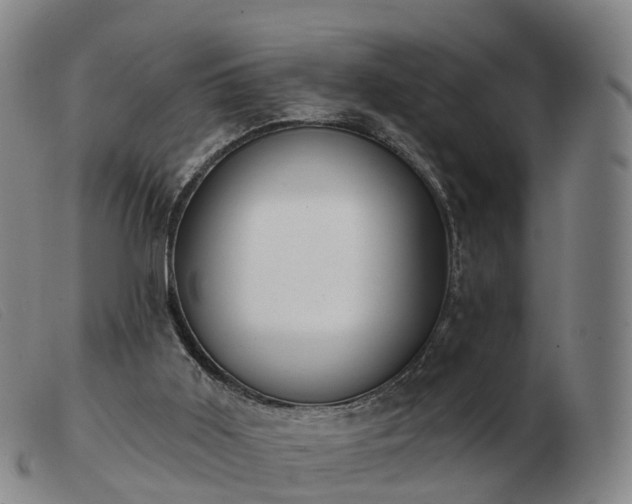 X0000103440011200809191735