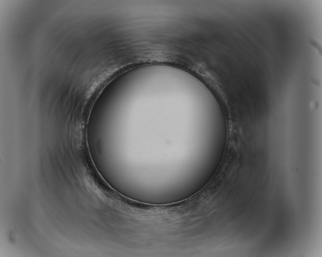 X0000103440012200809191735