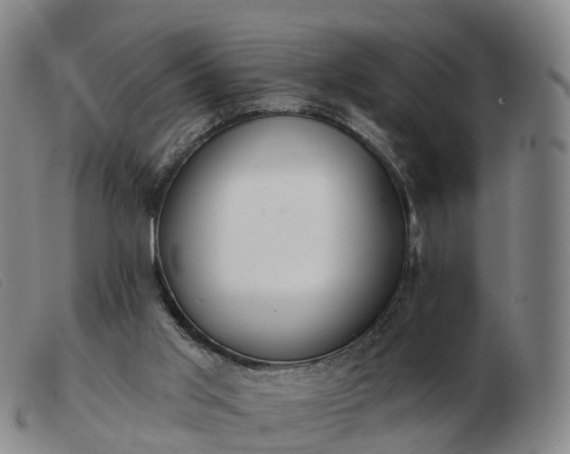 X0000103440013200809191735