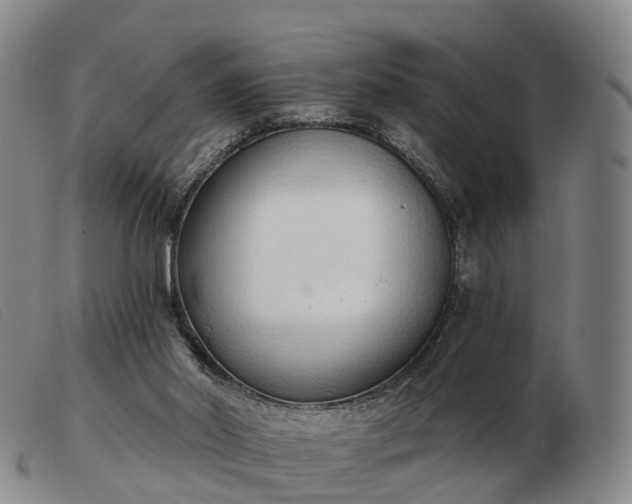 X0000103440014200809191735
