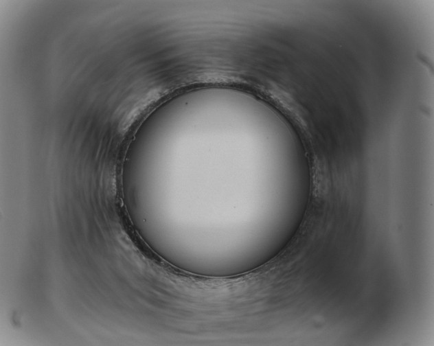 X0000103440015200809191735