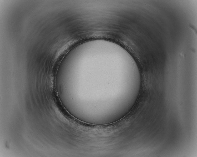 X0000103440016200809191735
