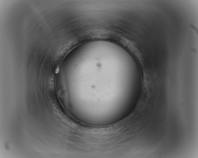 X0000103440017200809191735