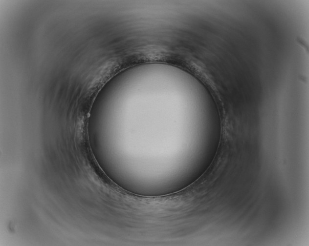 X0000103440018200809191735