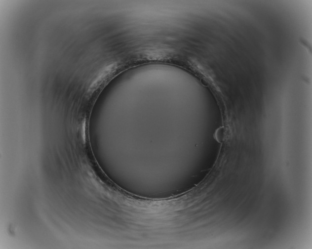 X0000103440019200809191735