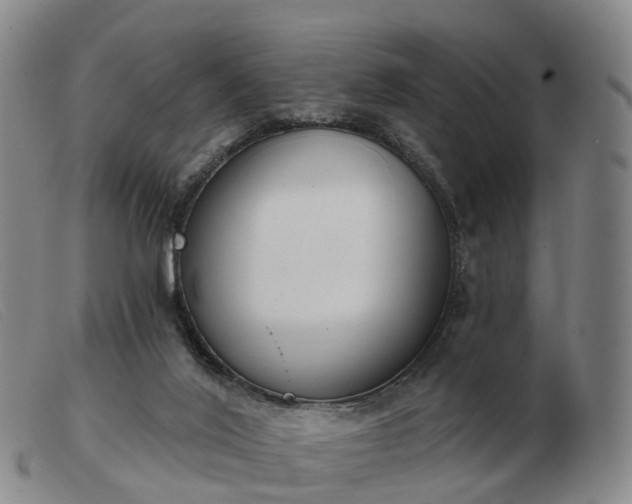 X0000103440020200809191735