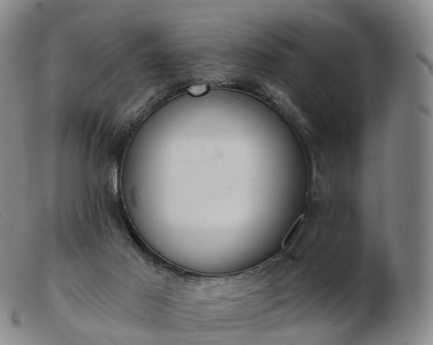X0000103440021200809191735