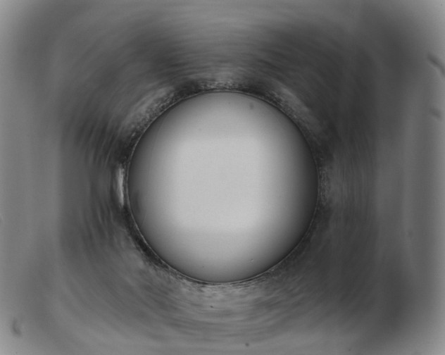 X0000103440022200809191735
