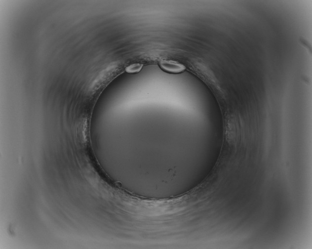 X0000103440023200809191735