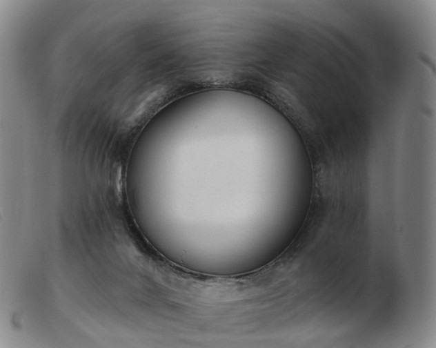 X0000103440024200809191735