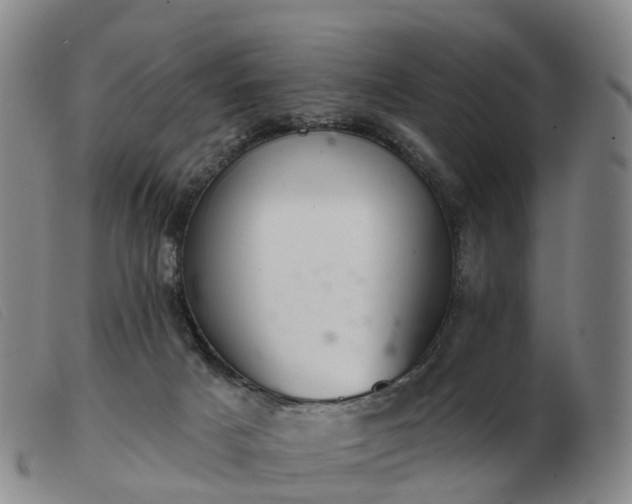 X0000103440025200809191735