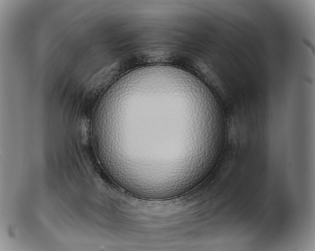 X0000103440026200809191735