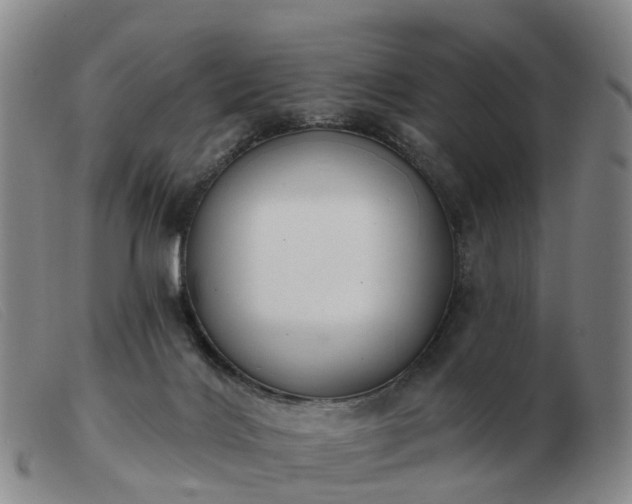 X0000103440028200809191735