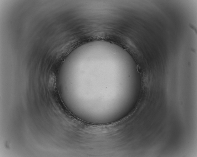 X0000103440029200809191735