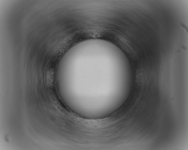 X0000103440030200809191735