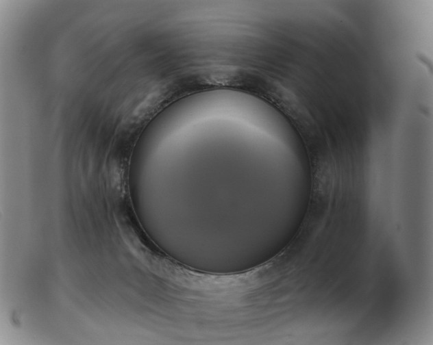 X0000103440031200809191735