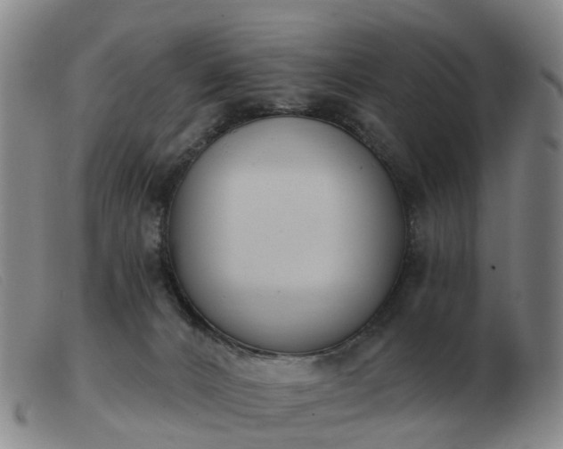 X0000103440032200809191735