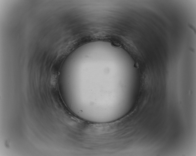 X0000103440033200809191735