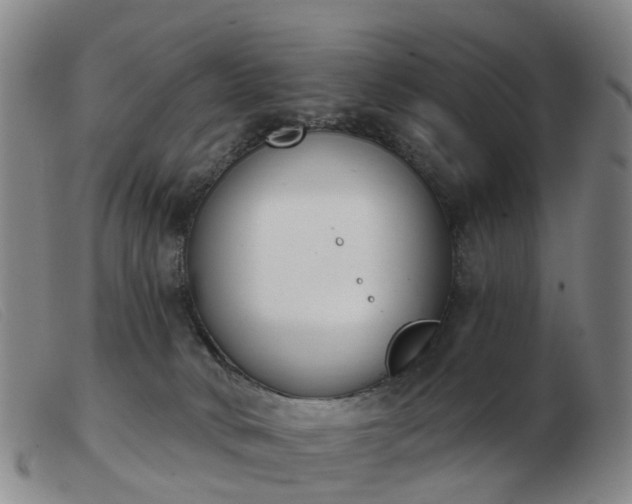 X0000103440034200809191735