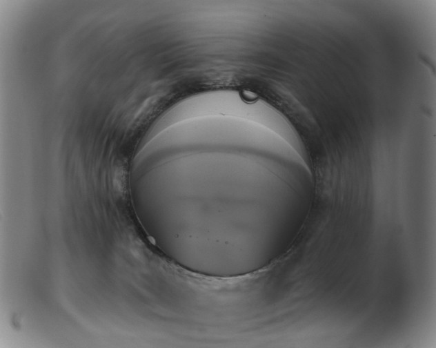 X0000103440035200809191735