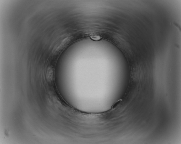X0000103440036200809191735