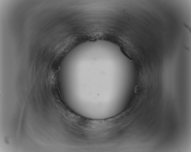 X0000103440037200809191735