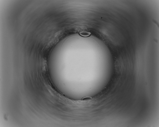 X0000103440038200809191735