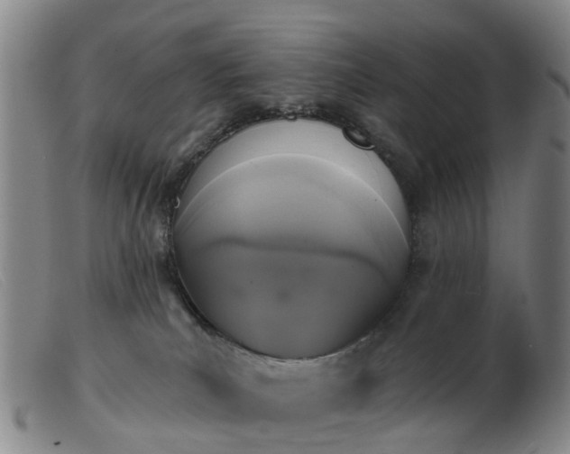 X0000103440039200809191735