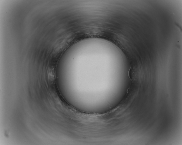 X0000103440040200809191735