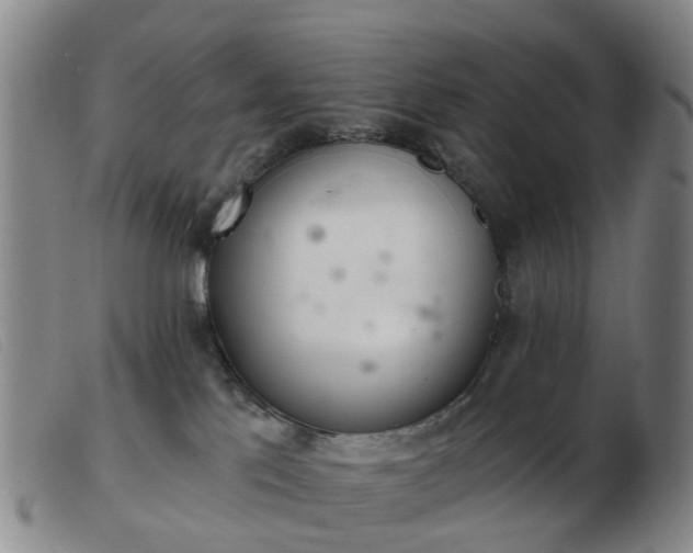 X0000103440041200809191735