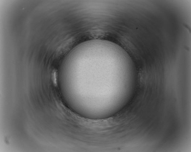 X0000103440042200809191735